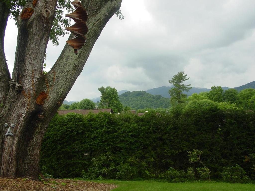 Brookside Mountain Mist Inn Waynesville Extérieur photo